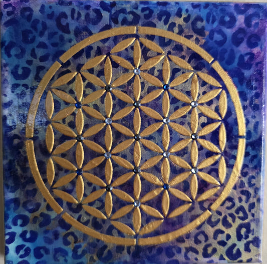 Celestial Indigo - 8x8 Canvas
