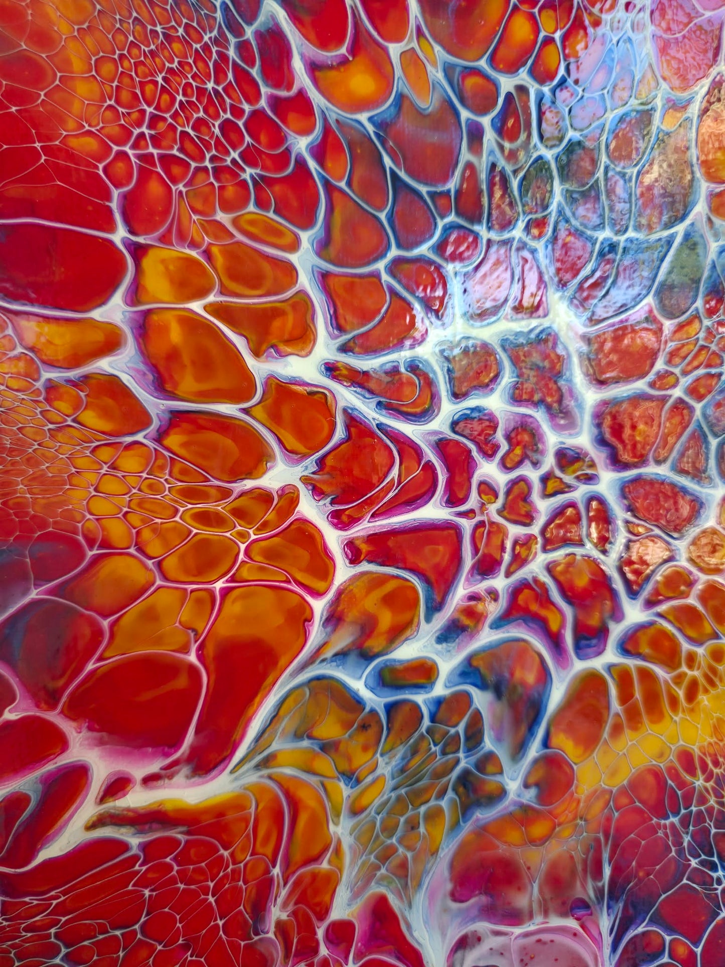 Solar Awakening - 12x12 Canvas