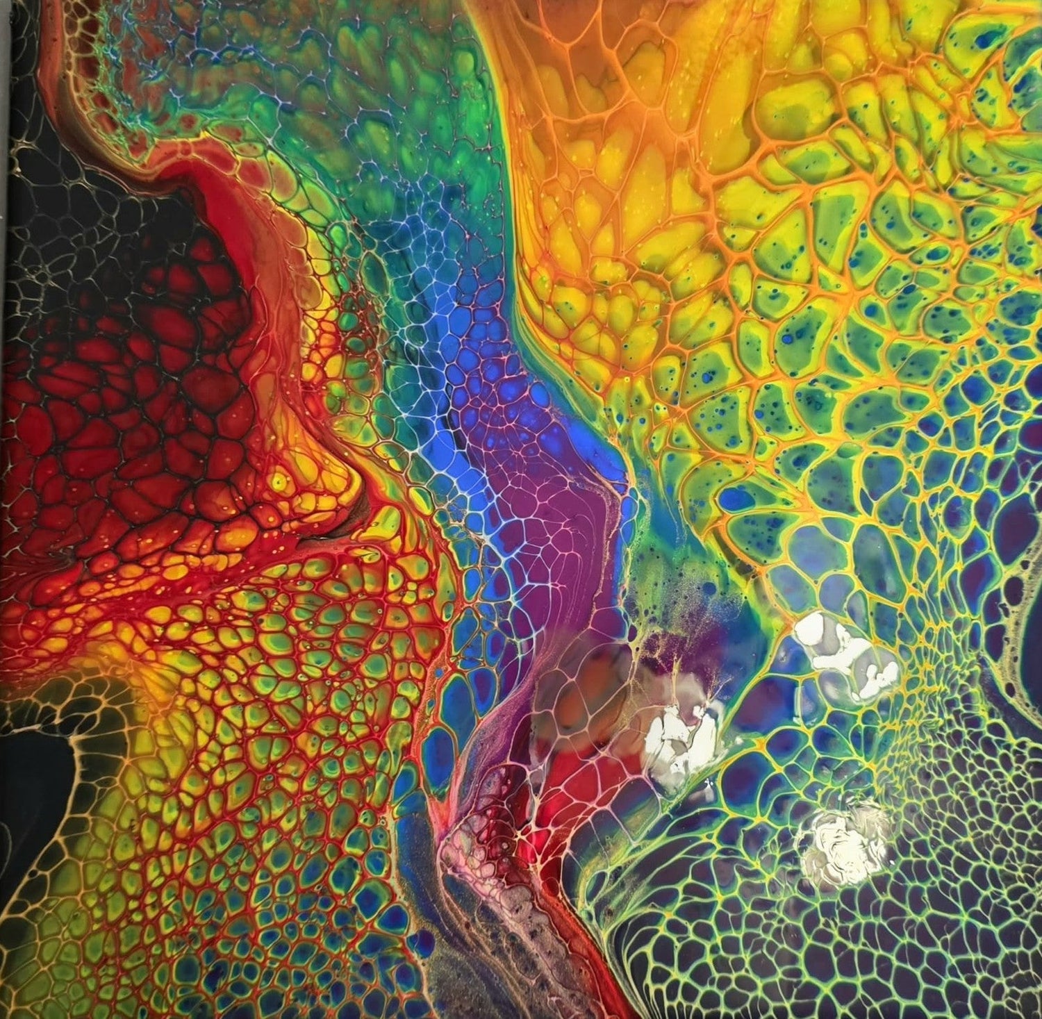 Fluid Art - Acrylic Paints