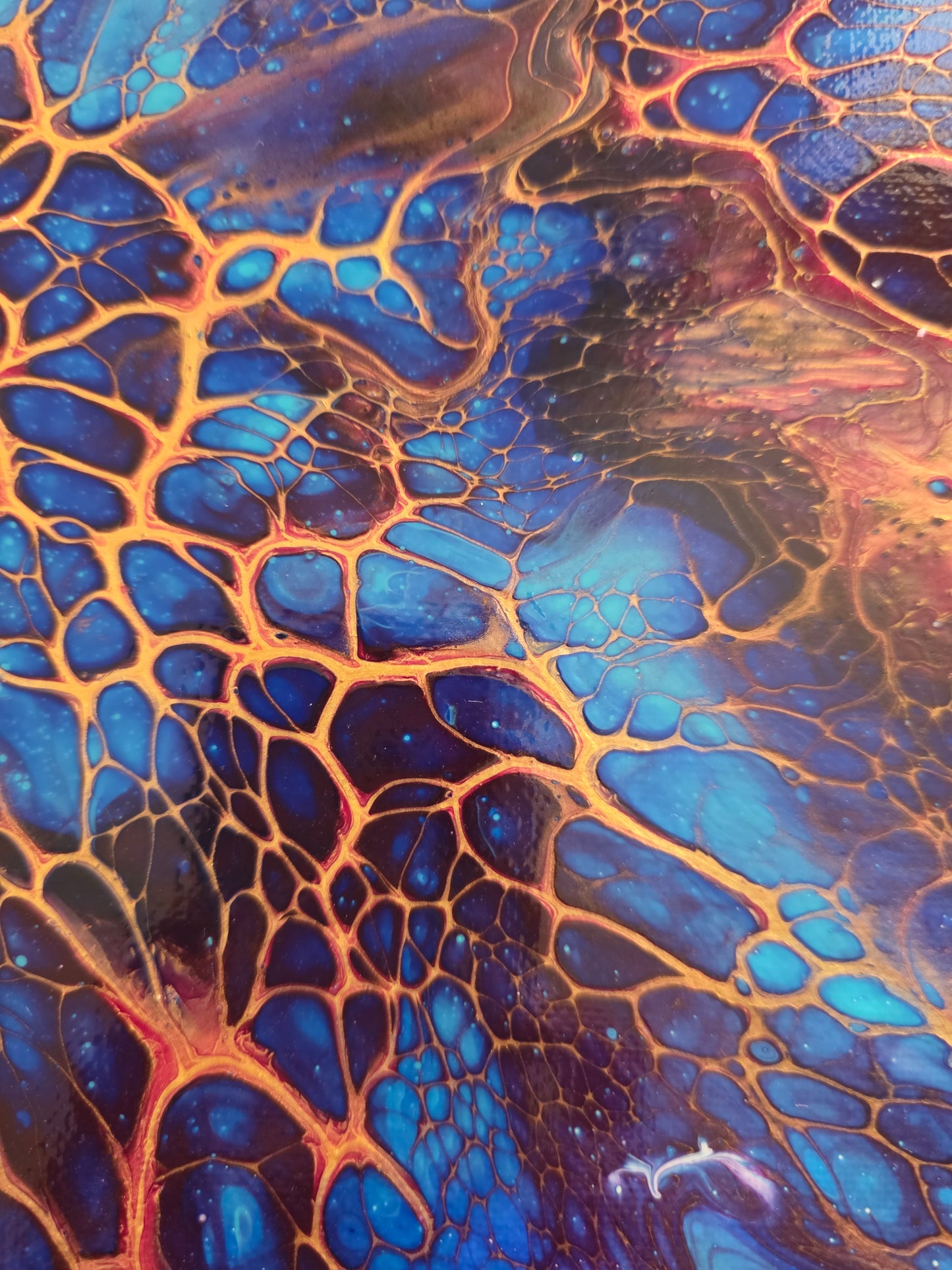 Midnight Radiance - 12x12 Canvas
