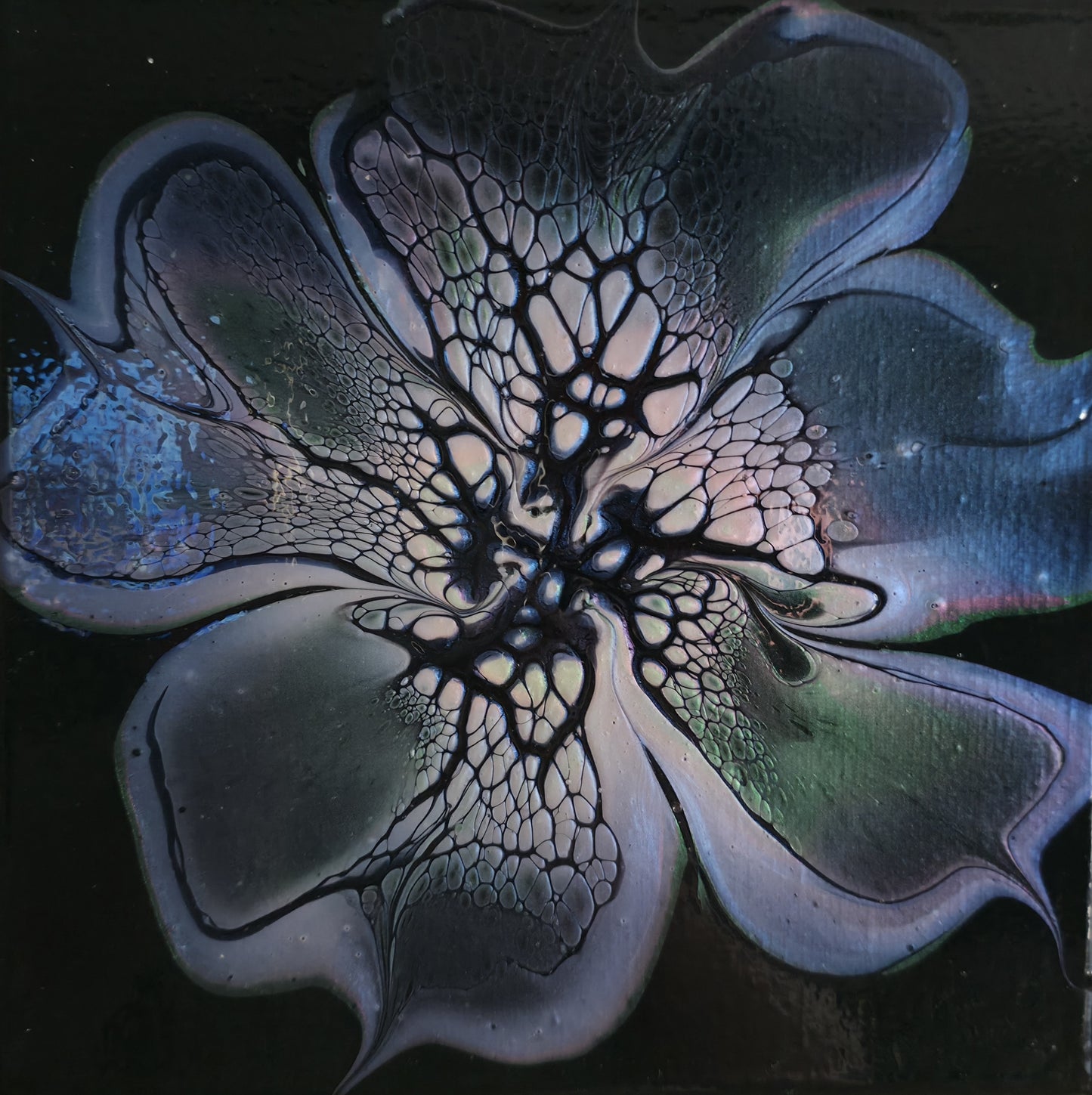 Moonlight Bloom - 8x8 Canvas