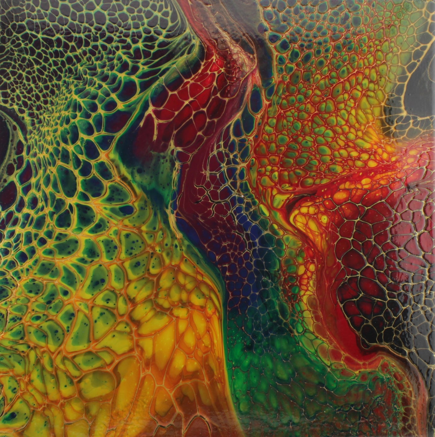River of Fire - 12x12 Canvas